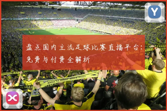 盘点国内主流足球比赛直播平台：免费与付费全解析