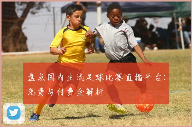盘点国内主流足球比赛直播平台：免费与付费全解析