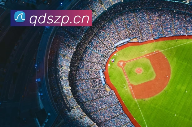 开云在线登录入口官网服务体系